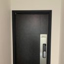 욜로하 스테이 이미지