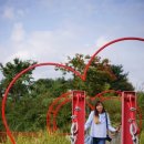 GARDEN(가든)