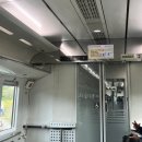 죽변면사무소 | 경북 울진 기차 여행 동해선 ITX 마음 바다 전망 후기