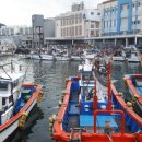 오늘의 생선 이미지