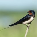 제비어린이집 이미지