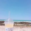 세화해변 네이버블로그