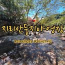 둥지펜션 야영장 이미지