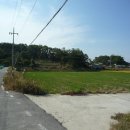 양사면-4 이미지