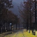 봉명고라데이영농조합법인 | [횡성의구석구석] 청일면 봉명리