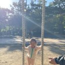 유아숲체험원 발리 그네가 있는 곳 경암근린공원 넓어서 아이들 놀기 좋은 곳