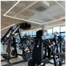 시카고휘트니스센타 이미지