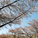 예비 대학생을 위한 얼렁뚱땅 대학 생활 리뷰 1 _ 강의 후기