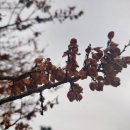 제일부동산중개 이미지