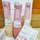 농업회사법인 주식회사 팩프로 | 전통주 선물하기 좋은 복순도가 손막걸리/빨간쌀 막걸리 오픈 후기