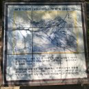 동해무릉건강숲 | 260618~19 동해 여행(도째비골 - 무릉 계곡 - 동해무릉건강숲 - 무릉별유천지)