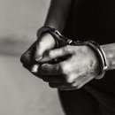 비자인행정사사무소 네이버블로그