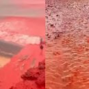 사하라 - 군산시 평화길 132 | 사하라