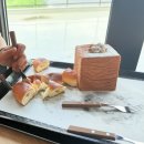 대가저수지가든 | [안성원곡/ 칠곡저수지/카페델라고 /내돈내산 후기/또간후기포함]