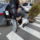 바바바 이미지
