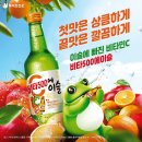 이슬 Daum카페