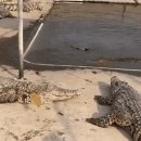 즐거운 하루 되세요~ 이미지