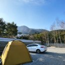 모아이풀빌라 | 모아이캠프 A7 신생이라 깔끔한 가평 애견동반 캠핑장