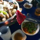 허파집