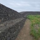 덕천민속마을 | 제주 구좌읍 가볼 만한 곳: 별방진 유채꽃 성곽 따라 피어난 노란 물결 보고 왔어요