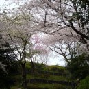 하나미 - 창원시 성산구 삼정자로43번길 8 | 하나미