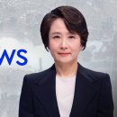 한미 무역협상 타결..상호관세 15%로 인하/일본·EU와 같은 15%..&#34;동등한 경쟁 여건&#34;|SBS 오뉴스 - (2025년 7월 31일 이미지