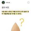 포레스텝