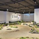 모모게임랜드 이미지