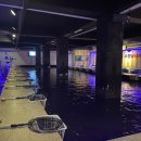 수원실내낚시터 이미지