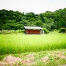 동명농장 이미지