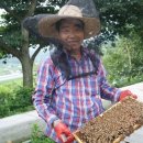 지리산 농장 이미지