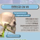 부발한의원 이미지