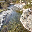 명개리(간이) 이미지