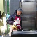 새중앙교회 이미지