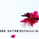 지혜로운 성도가 복을 받는다(눅12:41-48) 이미지