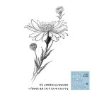 그림책과 펜 드로잉 이미지