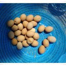 삼산초교 이미지