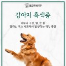 석적동물병원 이미지