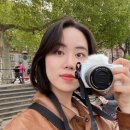 [영국여행] London 런던 여행 with EF Activity, 런던아이, 빅밴, 버킹검 궁전, M&amp;M, 피자헛