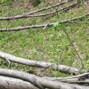 숲뒤농장 이미지