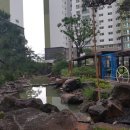 성성호수어린이집 이미지