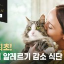 퓨리나동물병원 이미지