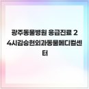 24시김승현외과동물메디컬센터 | 광주동물병원 응급진료 24시김승현외과동물메디컬센터