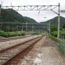 함백여고 이미지