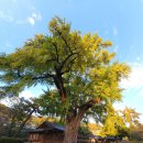 전주 향교 가는 길(11/11) 이미지