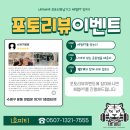 1호피티 이미지