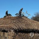 제주 성읍마을 대장간집 이미지