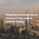 자연체계-산 이미지