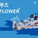 2024년6월6-8일(2박3일)울릉도 +독도관광-접수중 이미지