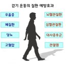 걷기운동 끝판왕 일본 시코쿠섬 오헨로 순례길 이미지